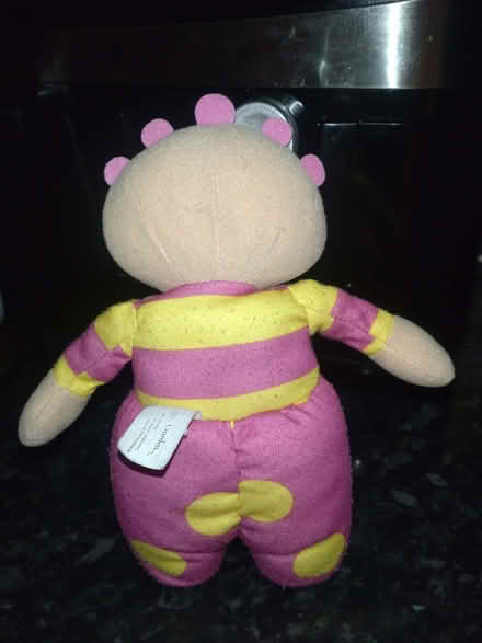 Photo of free Upsie Daisy night garden (Clubmoor L4) #2