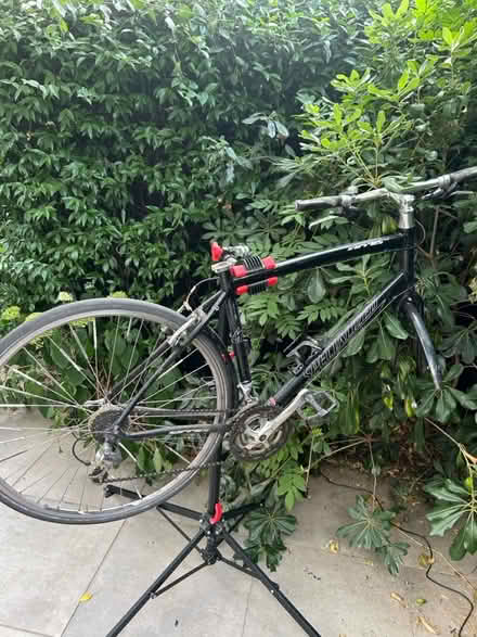 Photo of free Specialized Bike Frame Large (W4 Chiswick) #2