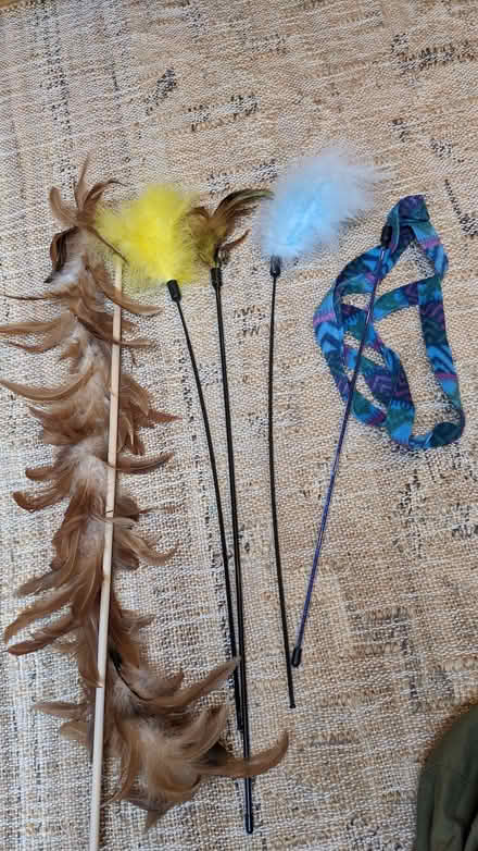 Photo of free Cat Toys (Priestthorpe BD16) #1