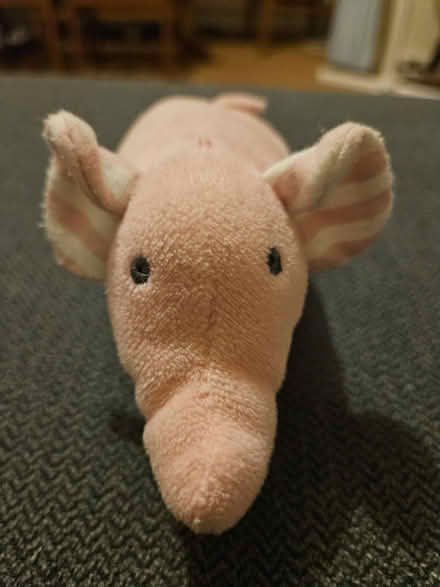 Photo of free Rattling pink elephant (CR0) #1