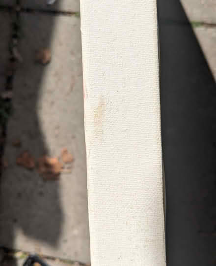 Photo of free Canvas Flowers Painting (PL4 Greenbank.) #2