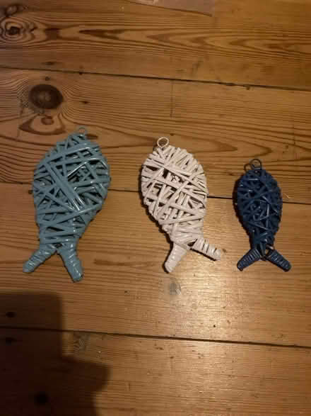 Photo of free Fish ornaments (Filton BS34) #1