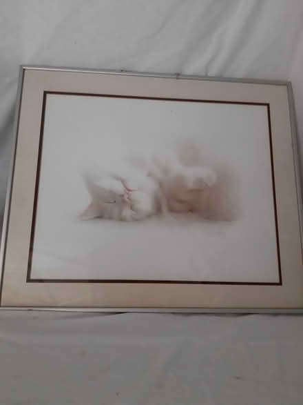 Photo of free Framed Pictures (Blackrock) #4