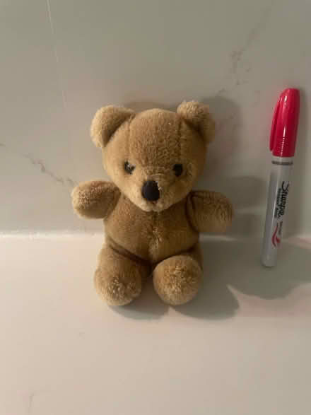 Photo of free Small brown teddy bear (Bayview/highway 7) #1