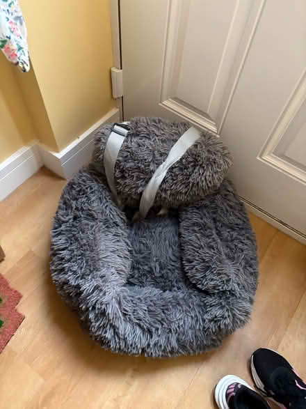 Photo of free Car dog bed/seat (Walkley S6) #1