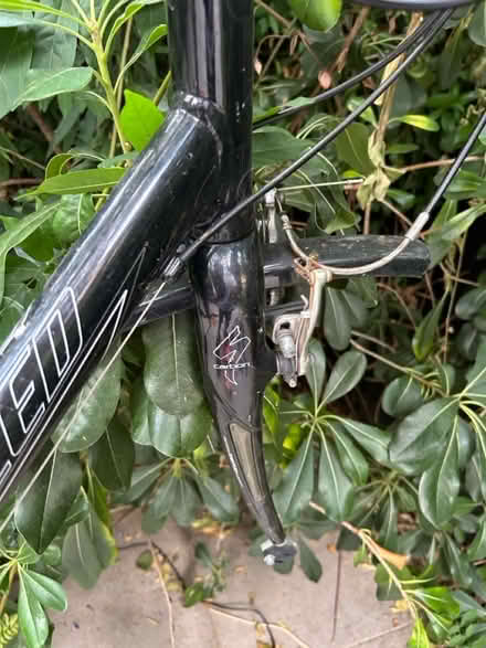 Photo of free Specialized Bike Frame Large (W4 Chiswick) #1