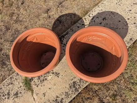 Photo of free Large plant pots (Covingham, Swindon) #2