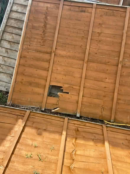 Photo of free Fence panels x8 (Bishops Cleeve GL528) #3