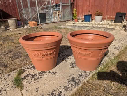 Photo of free Large plant pots (Covingham, Swindon) #1