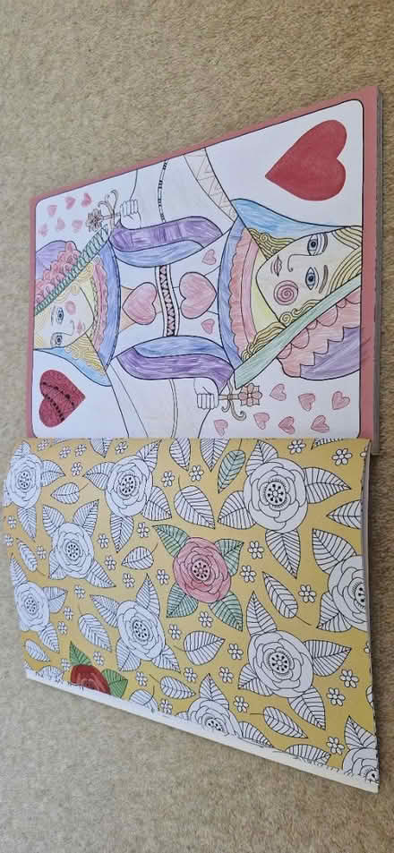 Photo of free Kids colouring book (Knaphill GU21) #2
