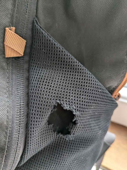 Photo of free Quechua NH100 20L Black Backpack from Decathlon. (Galashiels TD1) #4