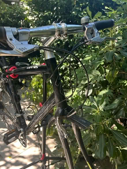 Photo of free Specialized Bike Frame Large (W4 Chiswick) #3