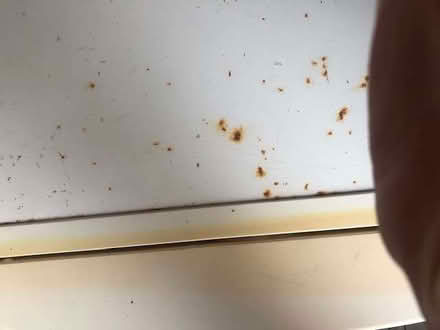 Photo of free Scandinova Freezer (Garstang PR3) #2