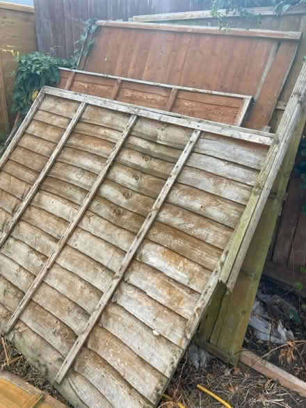 Photo of free Fence panels x8 (Bishops Cleeve GL528) #2