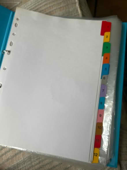 Photo of free A4 file, plastic wallets & dividers (Bartley Green B32) #3