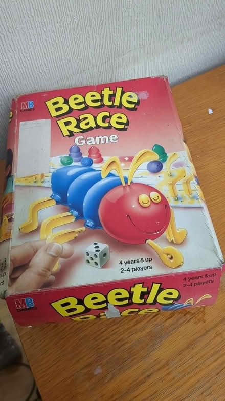 Photo of free Beetle race game (Enfield EN1) #1