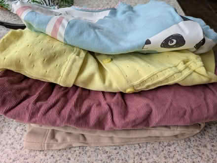 Photo of free Baby girl/toddler clothes (Warley CM14) #3