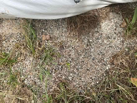 Photo of free Sharp sand (Chipley TQ12) #3