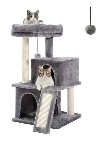 Photo of Cat tree (Minchinhampton GL6) #1