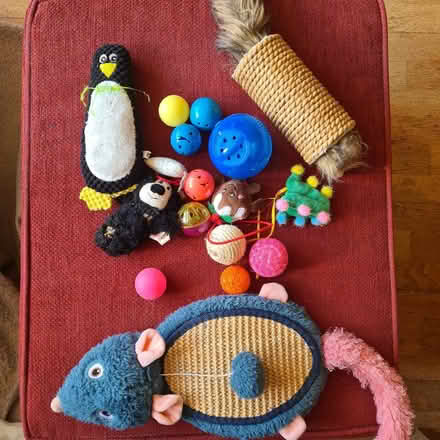 Photo of free Bag of cat toys (Vinters Park ME14) #1