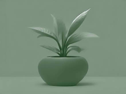 Photo of large fake or real plants non flowering ty (Moor Allerton LS17) #1