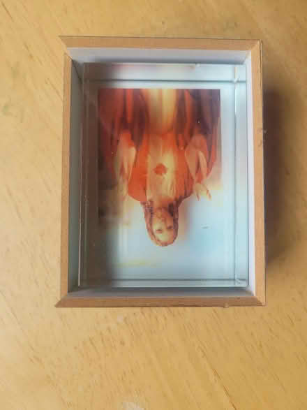 Photo of free Christ Icon in a small box (Freehold LA1) #1