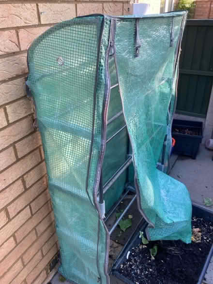 Photo of free Plastic Greenhouse (Letchworth SG6) #1