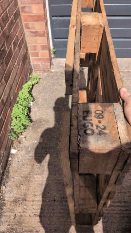 Photo of free pallet (Tewkesbury GL20) #2