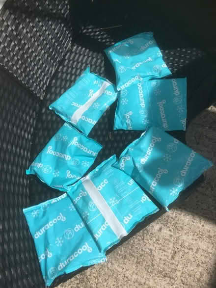 Photo of free Freezer packs (ME17 Boughton Monchelsea) #1