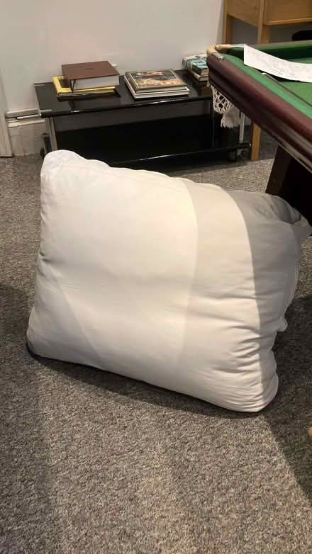 Photo of free Two Large Floor Cushions to Give Away (Shepherds Bush W6) #2
