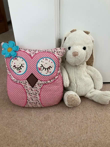Photo of free Owl cushion and Bunny pyjama case (Minchinhampton GL6) #1
