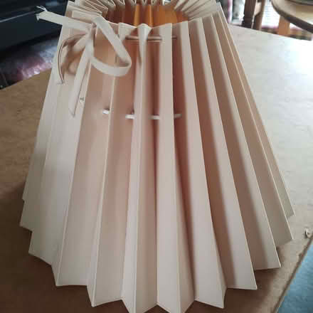 Photo of free Pink Lampshade for Ceiling Light (Rayleigh SS6) #2