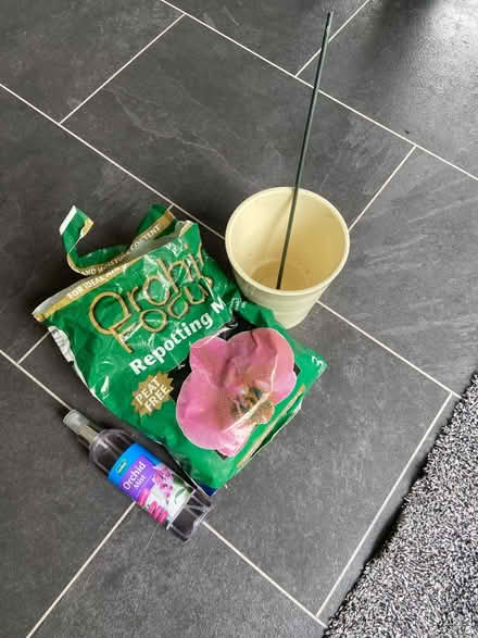 Photo of free Bundle for orchid growing/ care (Solihull B91) #1