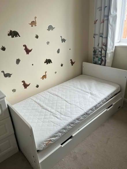 Photo of free Cotbed (East Peckham TN12) #1
