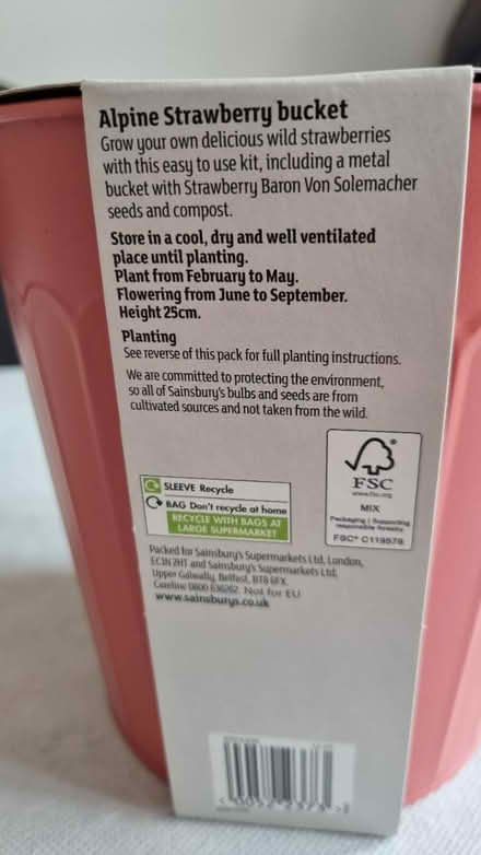 Photo of free Strawberry bucket (Warsash SO31) #3