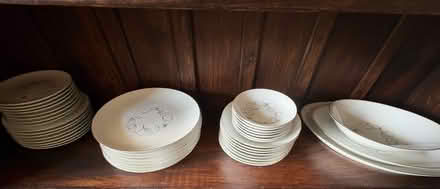Photo of free Chine (Off of Bunkerhill Rd & Rte 27) #2
