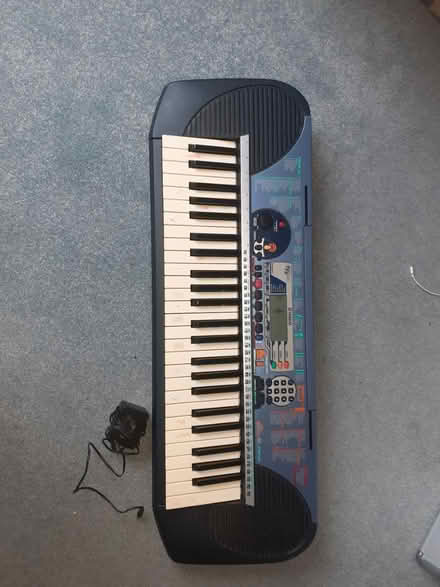 Photo of free Electric keyboard (Rose green) #1