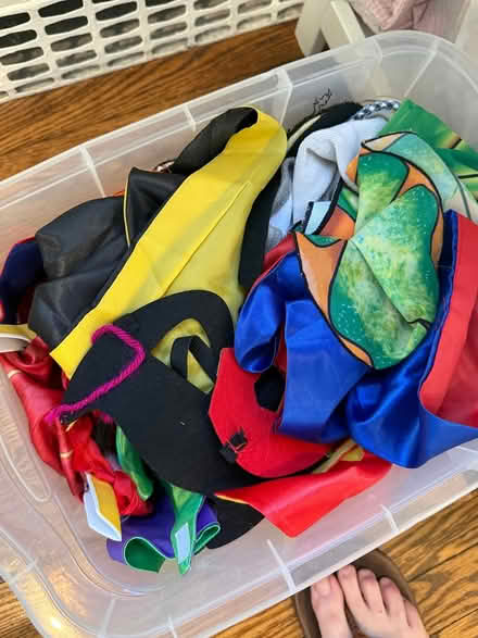 Photo of free Dress up clothes (Scarsdale) #1