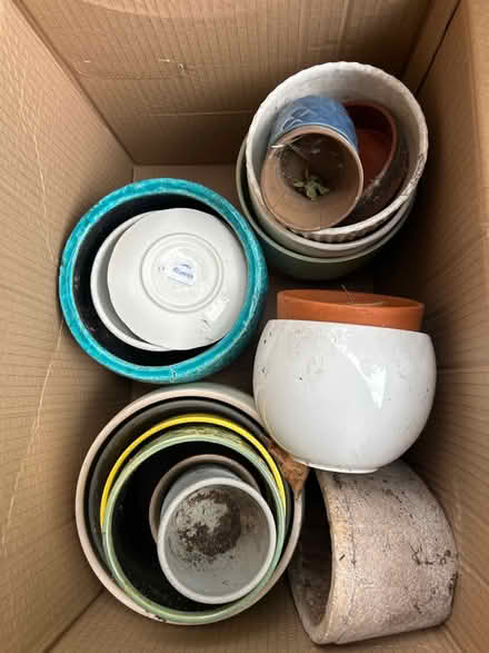 Photo of free Plant pots (Herne Hill, SE24) #1