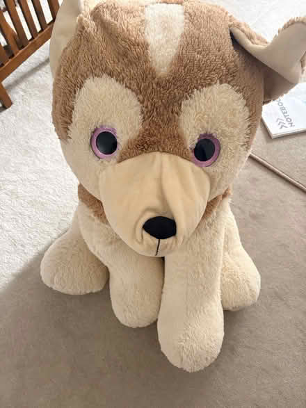 Photo of free Large bingo soft toy (Park hill CR0 5) #1