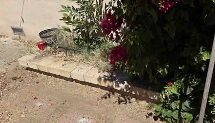 Photo of free Roman / Landscape Blocks — You Haul (West San Jose) #1