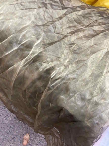 Photo of free Gold/green sheer fabric piece (New Brighton CH45) #1