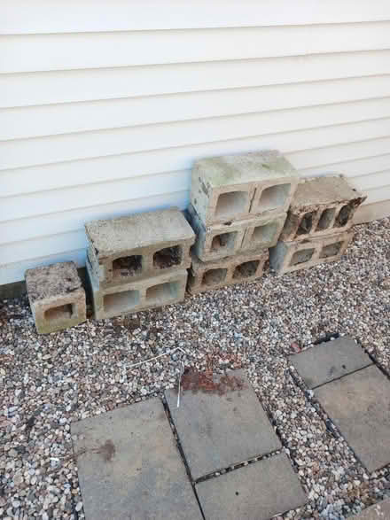 Photo of free Cinder blocks (hunt club park) #1