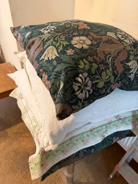 Photo of free Large assorted cushions (Dagenham RM9) #2