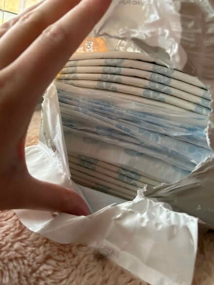 Photo of free Puppy Training Pads (Warminster BA12) #3