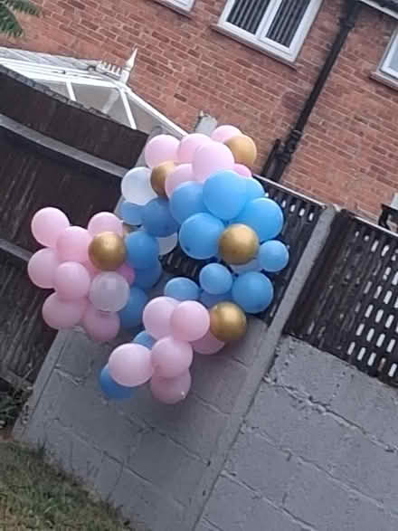 Photo of free Gender reveal items (New addington CR0) #3