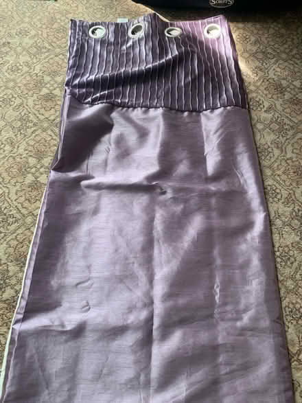 Photo of free Curtains (Tavistock) #1
