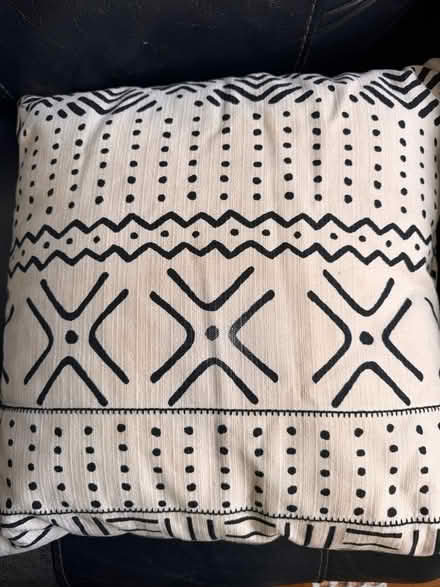 Photo of free 1 Throw Pillow (Clason Point Bronx NY) #1