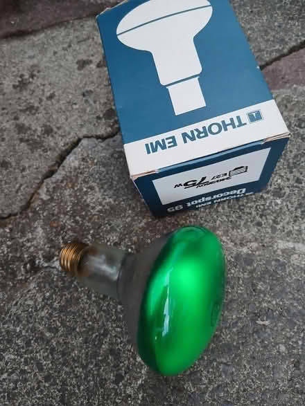 Photo of free 75w green bulb with screw fitting E27 and R63 reflector bulb (Chelsfield BR6) #1