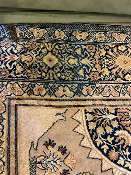 Photo of free Large Rug (7 dials BN1) #4